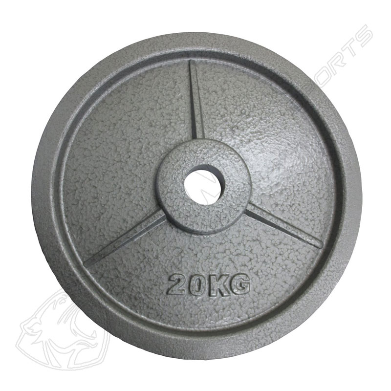 CAST IRON TRAINING WEIGHT PLATE'