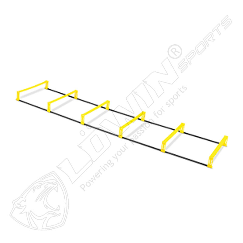 Elevation Hurdle Ladder'