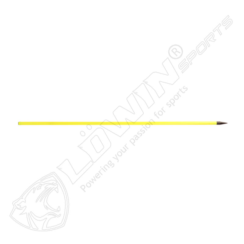 SPIKED SLALOM POLES'