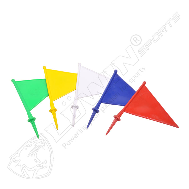 BOUNDARY FLAGS PLASTIC '