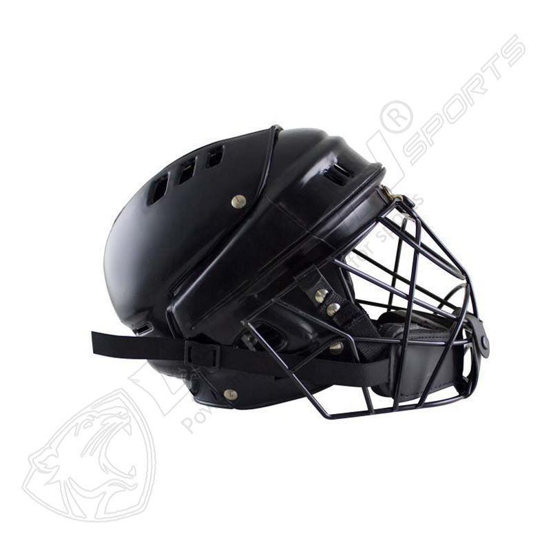 Goalie Helmet'