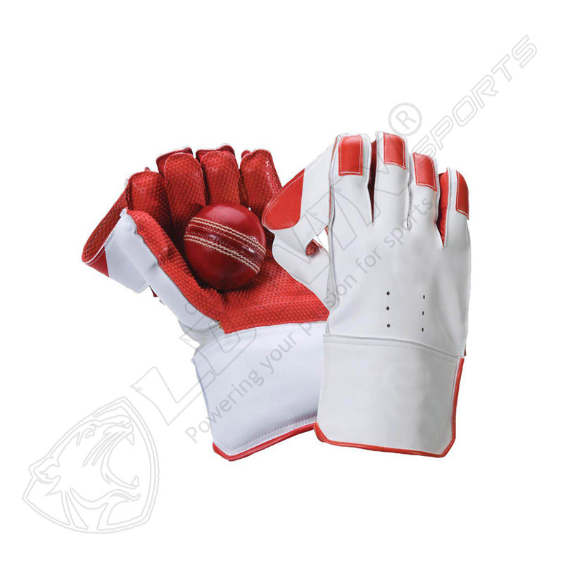 WICKEET KEEPER GLOVES'