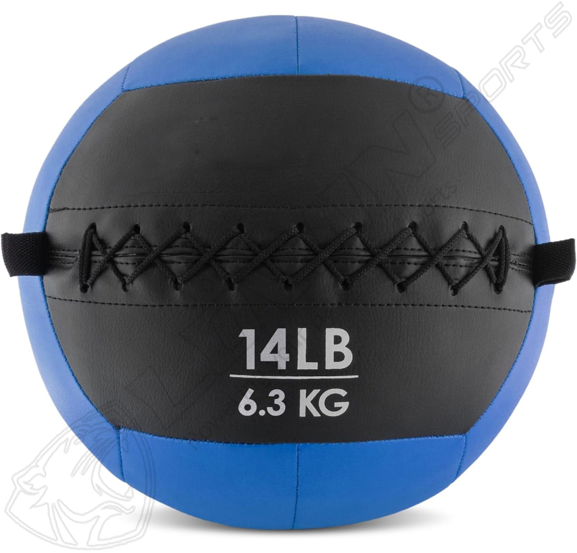 Pro Dual Medicine Ball'